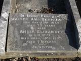 image of grave number 239747